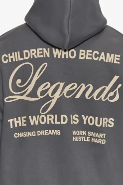 Zipper<Dropsize Heavy Oversize Legends Zip Hoodie Grey