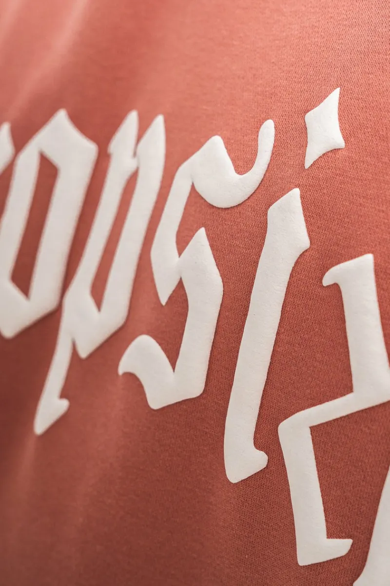 Hoodie<Dropsize Heavy Oversize Logo Design Hoodie Clay
