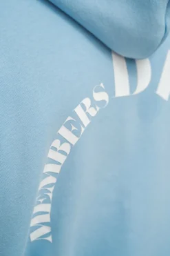Hoodie<Dropsize Heavy Oversize V2 Cirlce Hoodie Baby Blue
